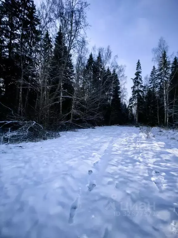 Участок в Московская область, Дмитровский муниципальный округ, ... - Фото 2