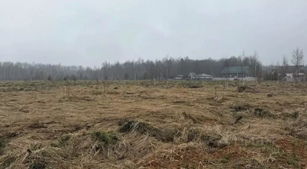 Участок в Московская область, Серпухов городской округ, д. Лукино  ... - Фото 1