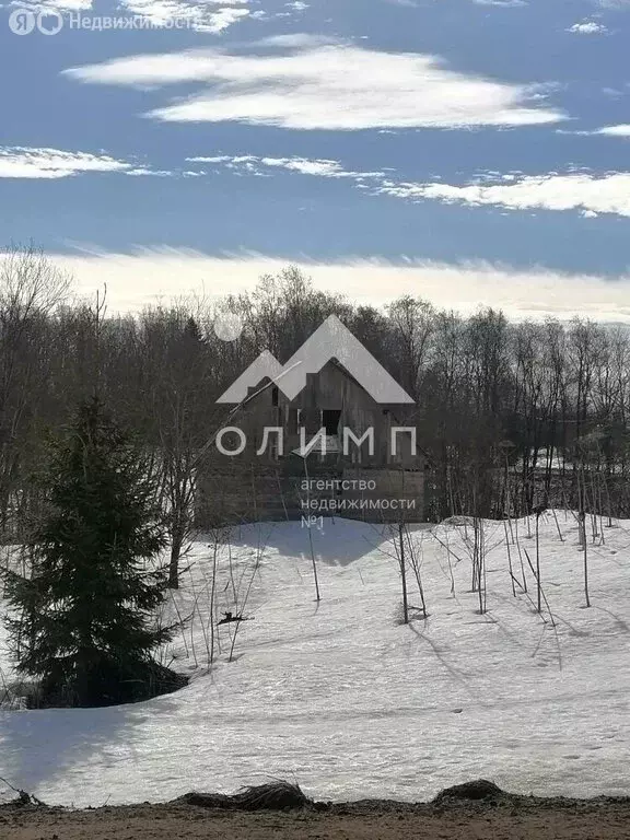 Дом в Вологодский муниципальный округ, посёлок Васильевское (46.6 м) - Фото 2