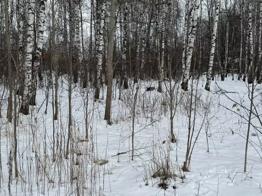 Участок в Московская область, Богородский городской округ, имени ... - Фото 0