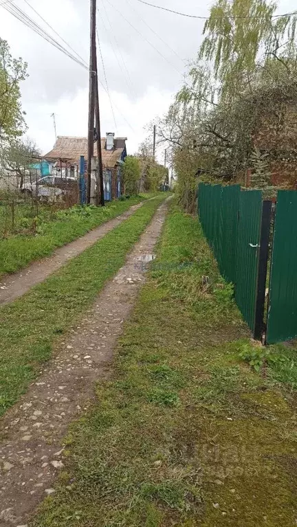 Участок в Нижегородская область, Богородский муниципальный округ, ... - Фото 1