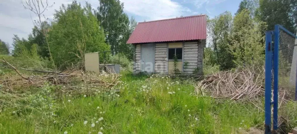 Участок в Тюменская область, Нижнетавдинский район, Лесная сказка СНТ ... - Фото 0