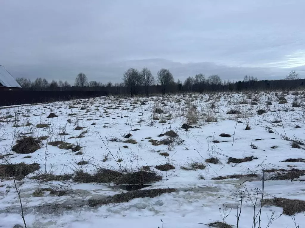 Участок в Владимирская область, Александровский район, ... - Фото 0