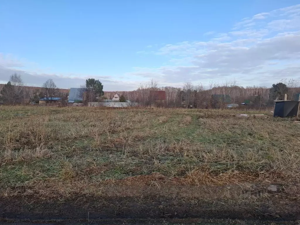 Участок в Новосибирская область, Новосибирский район, Новолуговской ... - Фото 1