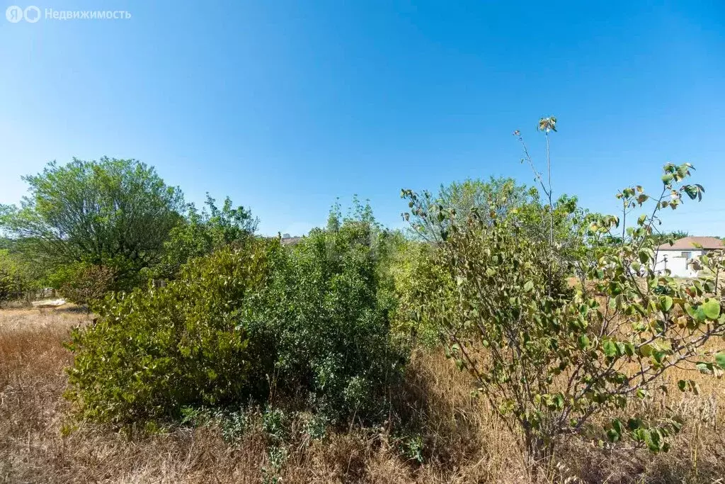 Участок в Севастополь, товарищество собственников недвижимость ... - Фото 2