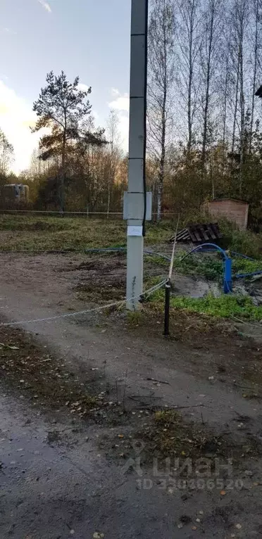 Участок в Ленинградская область, Всеволожск ул. Радужная (8.24 сот.) - Фото 1