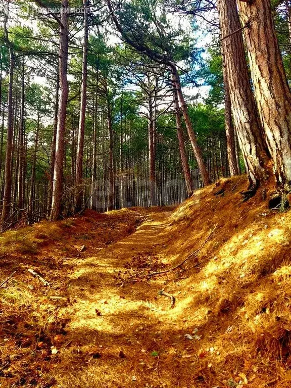 Дом в Республика Крым, муниципальный округ Ялта, посёлок городского ... - Фото 1