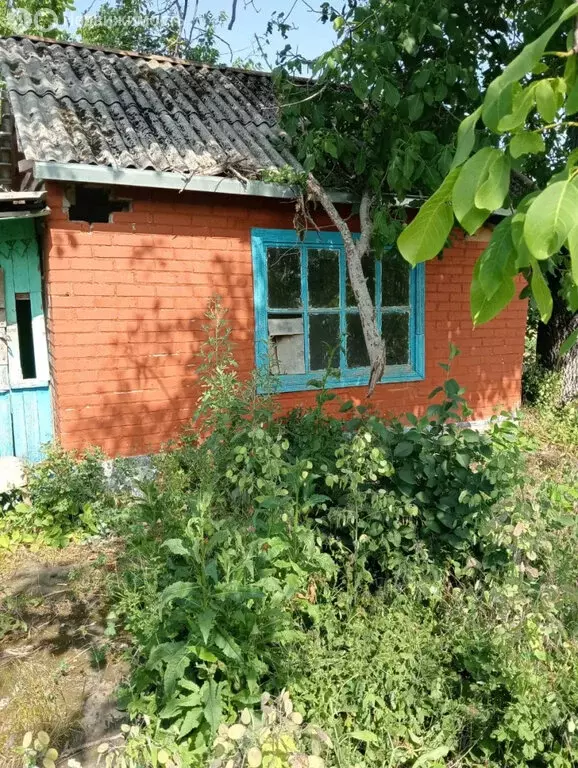 Участок в Армавир, СНТ Заря Востока, Райский проезд, 62 (6.1 м) - Фото 1