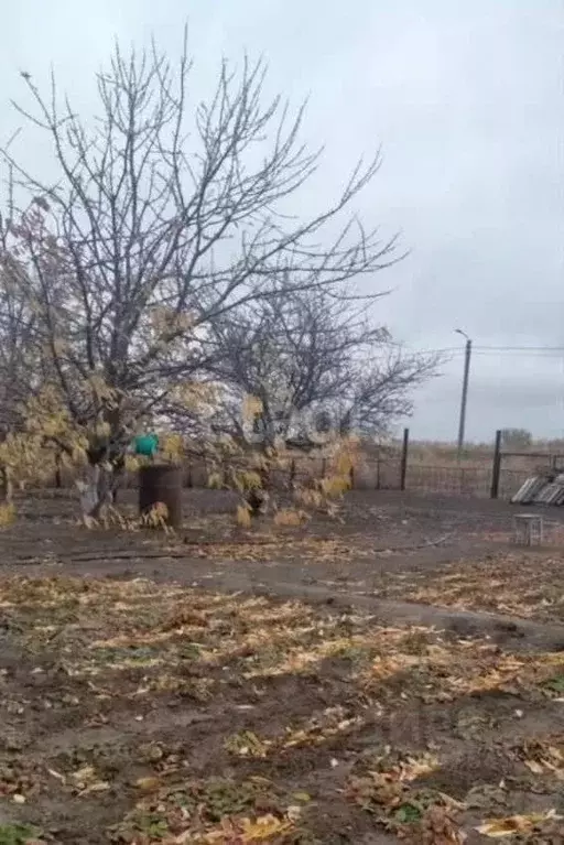 Участок в Волгоградская область, Среднеахтубинский район, Кировское ... - Фото 1
