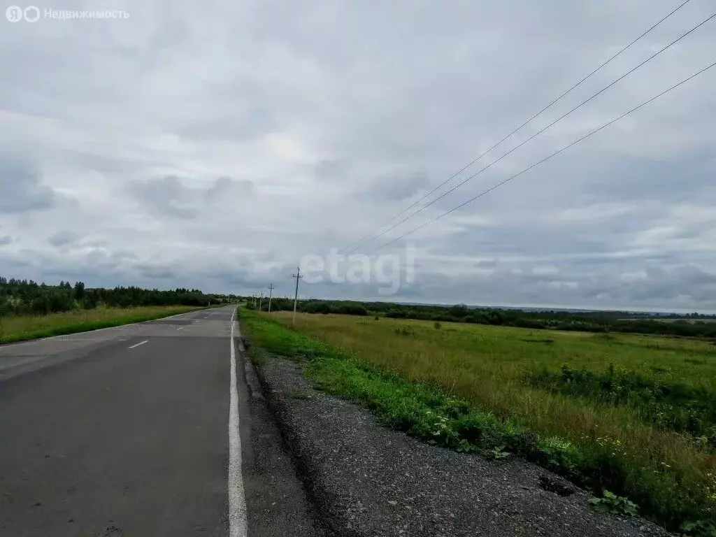 Участок в Кемеровский муниципальный округ, деревня Осиновка (1308 м) - Фото 1