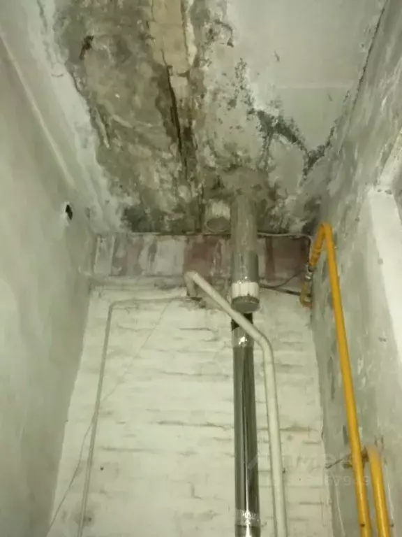 Помещение свободного назначения в Ростовская область, Азовский район, ... - Фото 2