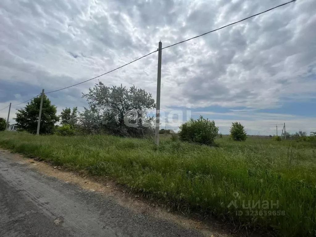 Участок в Ростовская область, Аксайский район, Ольгинское с/пос, ... - Фото 2