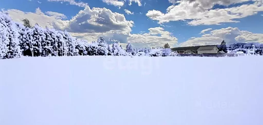 Участок в Владимирская область, Доброград муниципальный округ, д. ... - Фото 1