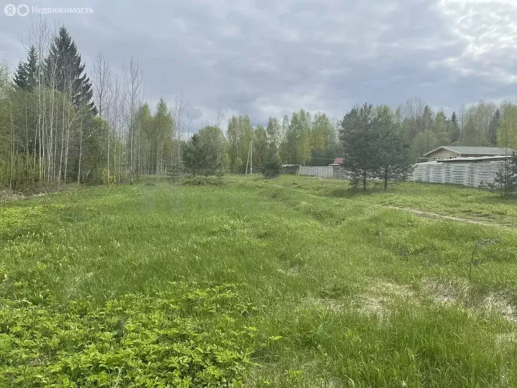 Участок в Новгородская область, Боровичский муниципальный округ, ... - Фото 1