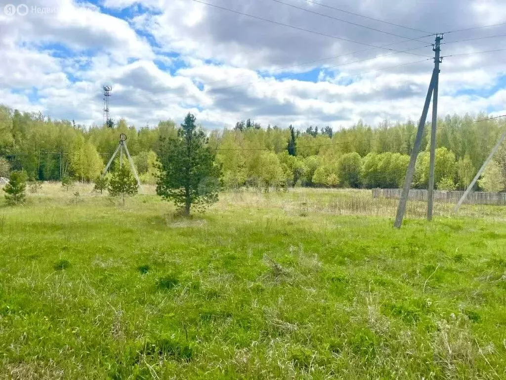 Участок в Ковровский район, муниципальное образование Ивановское, село ... - Фото 0