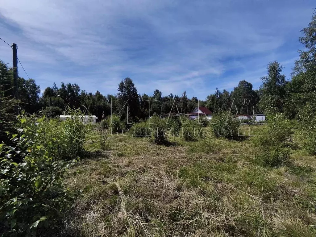 Участок в Ленинградская область, Выборгский район, Советское городское ... - Фото 1