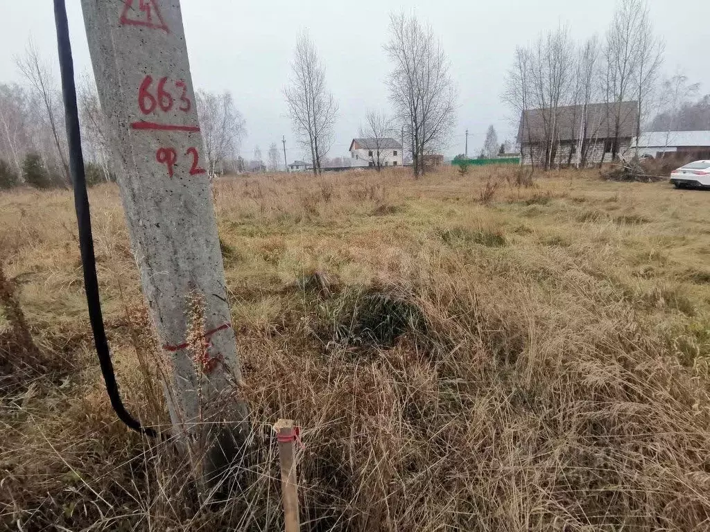 Участок в Новосибирская область, Ордынское рп ул. Западная (10.0 сот.) - Фото 1