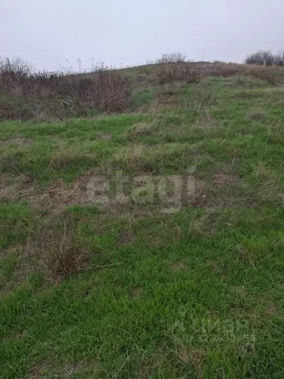 Участок в Ростовская область, Аксайский район, Большой Лог хут.  (8.26 ... - Фото 2