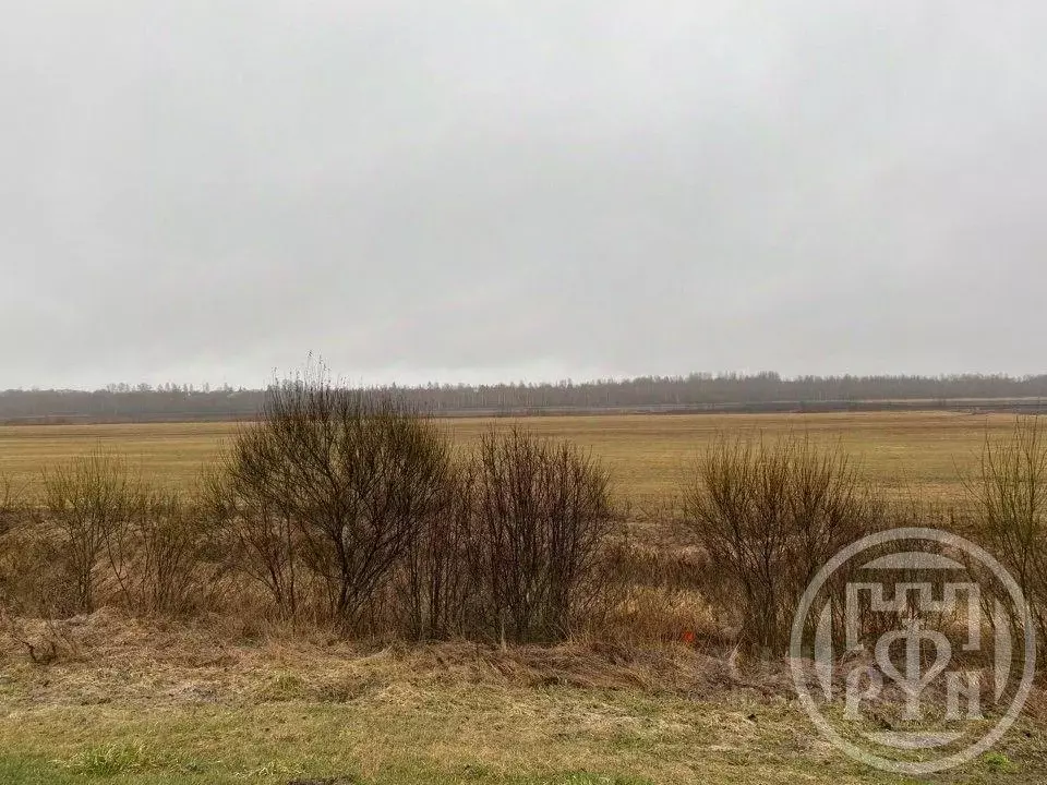 Участок, 560 сот., фермерское хоз-во - Фото 1