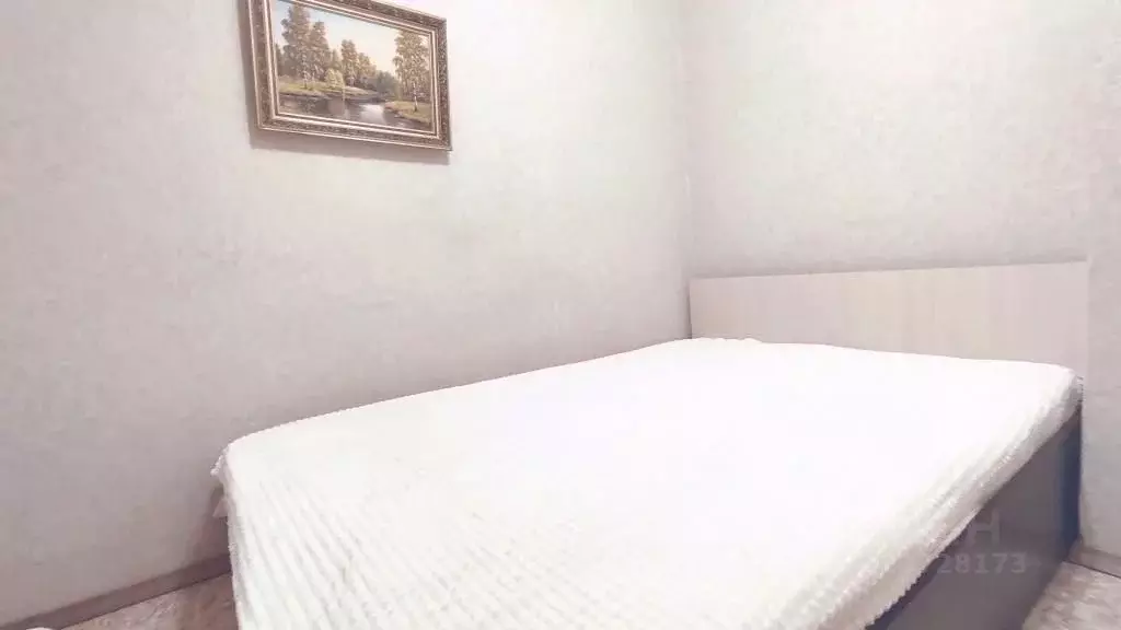 2-к кв. Нижегородская область, Нижний Новгород ул. Белинского, 104 ... - Фото 1