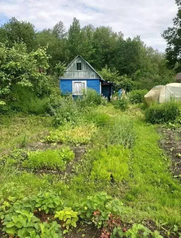 Участок в Новгородская область, Новгородский район, Ермолинское с/пос, ... - Фото 1