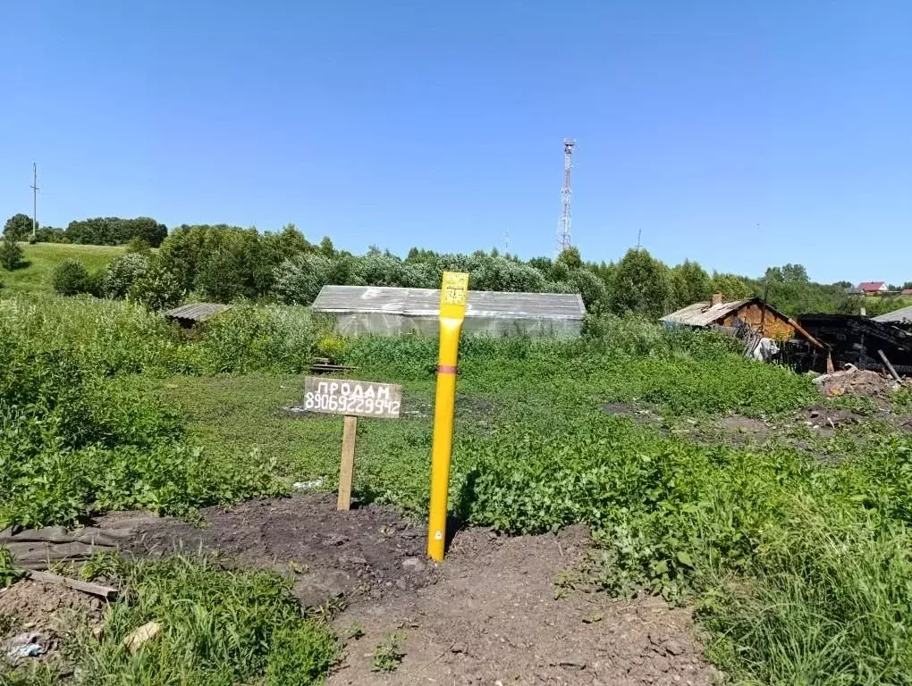 Участок в Кемеровская область, Кемеровский район, д. Береговая ... - Фото 1