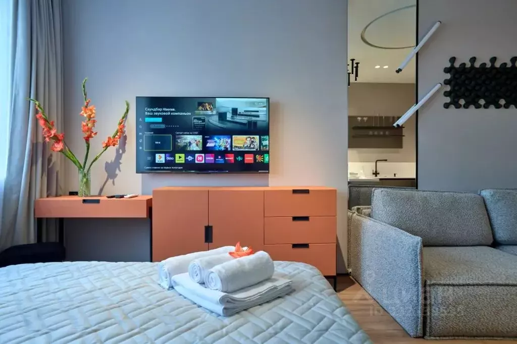 Студия Москва Шмитовский проезд, 39к6 (30.0 м) - Фото 2