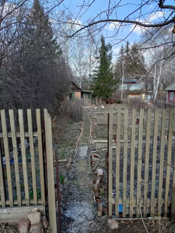 Дом в Омская область, Омск СОСН Березка тер., аллея 6-я (20 м) - Фото 1