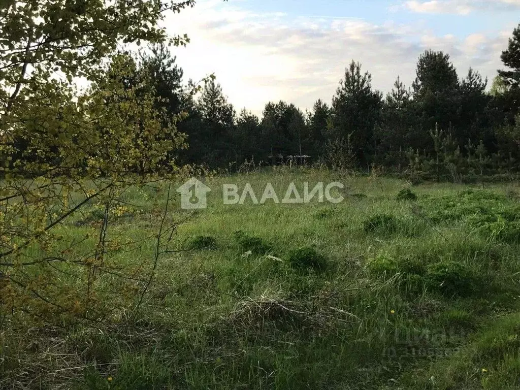 Участок в Владимирская область, Судогодский район, Лавровское ... - Фото 1