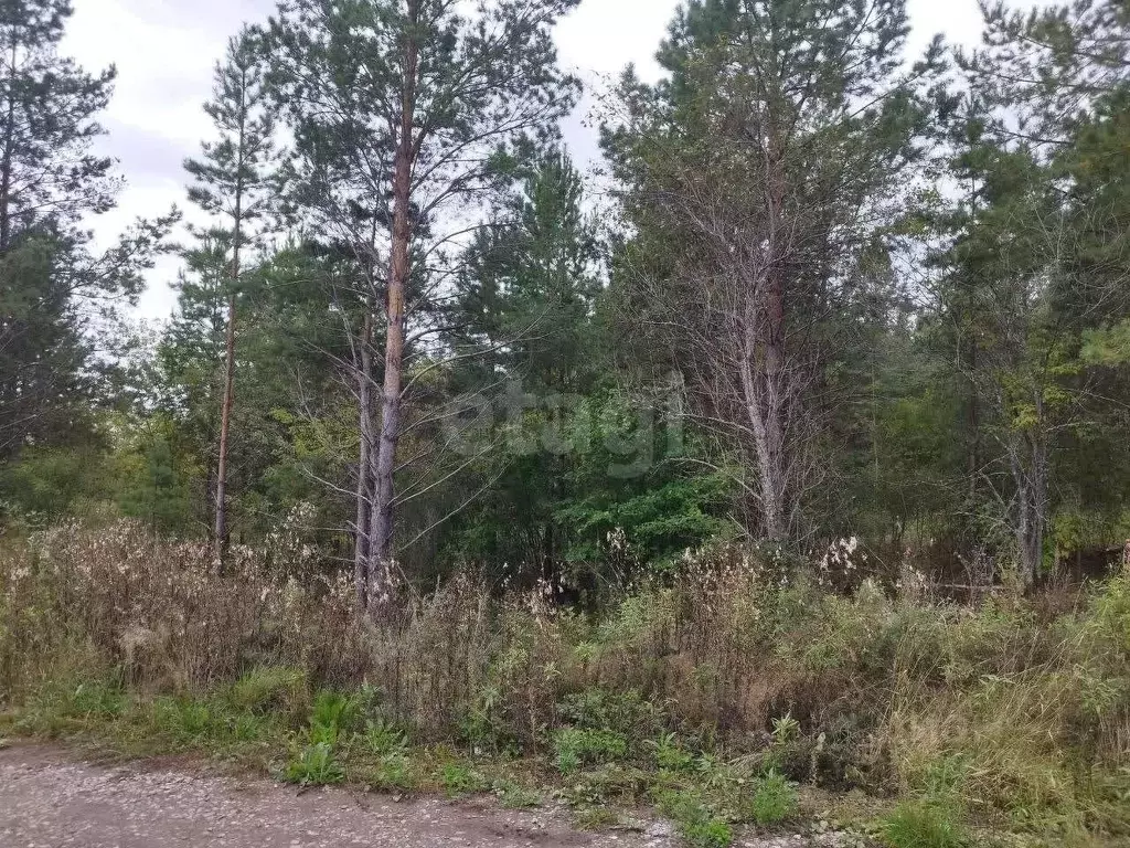 Участок в Свердловская область, Талица  (10.0 сот.) - Фото 1