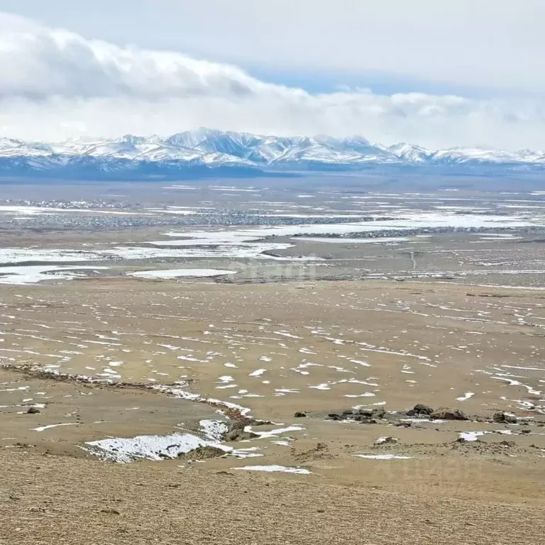 Участок в Алтай, Кош-Агачский район, с. Теленгит-Сортогой  (249.9 ... - Фото 0