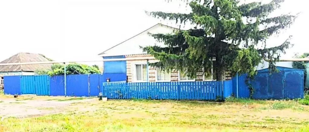 Дом в Белгородская область, Новооскольский муниципальный округ, с. ... - Фото 1