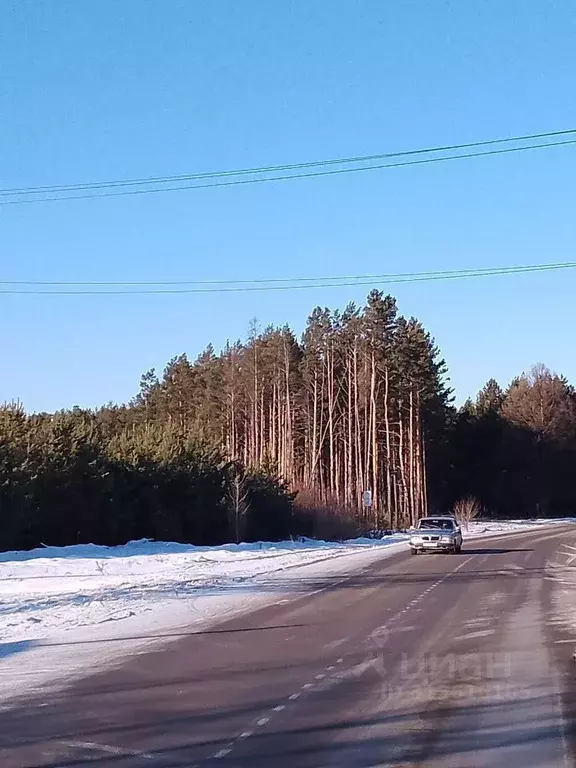 Участок в Красноярский край, Минусинский район, Селиванихинский ... - Фото 1