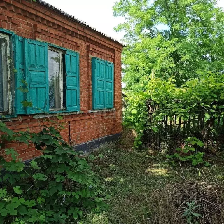 Дом в Краснодарский край, Ейский район, Копанское с/пос, Копанская ... - Фото 0