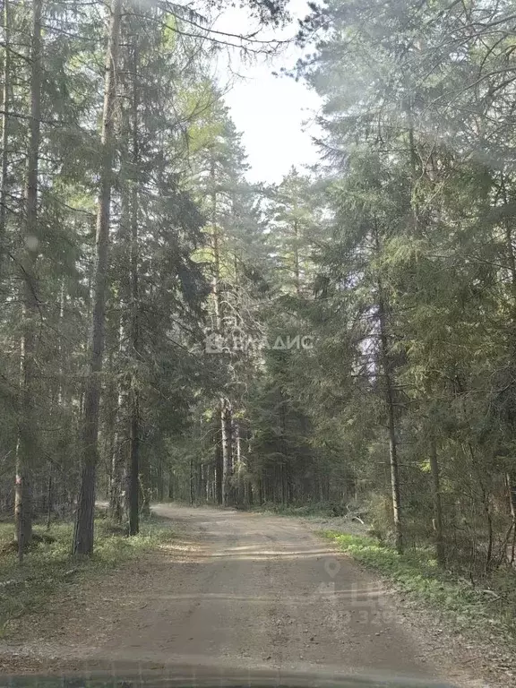 Участок в Ярославская область, Рыбинский муниципальный округ, д. ... - Фото 1