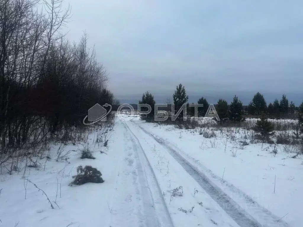 Участок в Тюменская область, Тюменский район, с. Горьковка  (6.0 сот.) - Фото 0