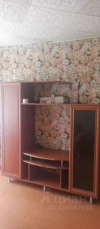 1-к кв. Новосибирская область, Искитим Подгорный мкр, 43 (29.0 м) - Фото 1