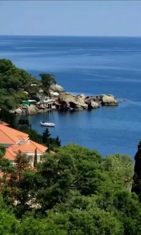 Студия Крым, Алупка ул. Приморская, 11А (24.0 м) - Фото 0