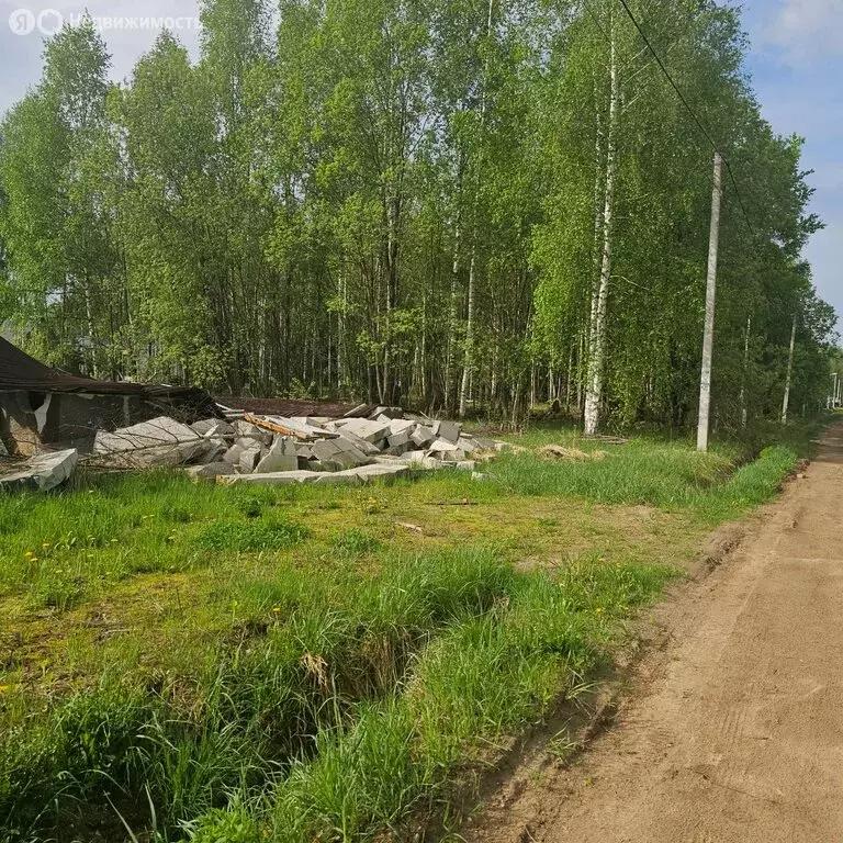 Участок в Московская область, городской округ Клин, деревня Давыдково ... - Фото 1