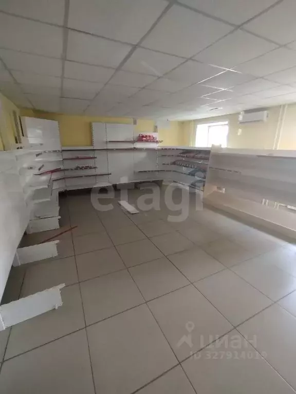 Торговая площадь в Амурская область, Благовещенский район, с. Чигири ... - Фото 1