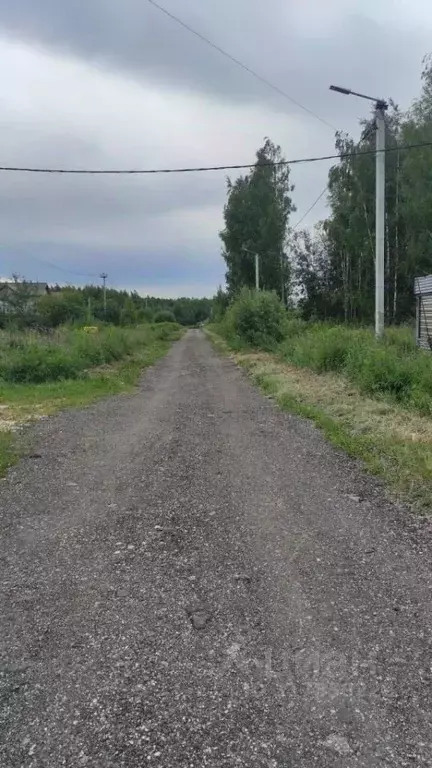 Участок в Владимирская область, Владимир ул. Осиновая (11.25 сот.) - Фото 1
