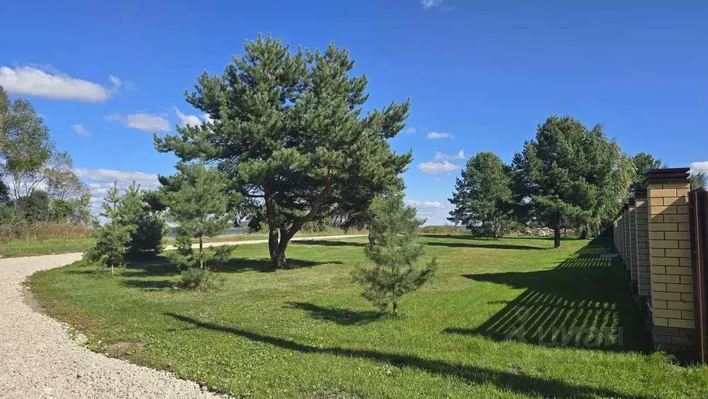 Участок в Ульяновская область, Чердаклинское городское поселение, ... - Фото 0