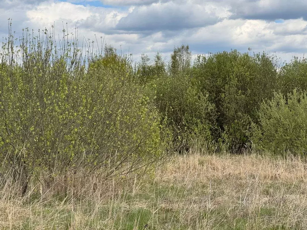 Участок в Московская область, Богородский городской округ, д. Старые ... - Фото 0