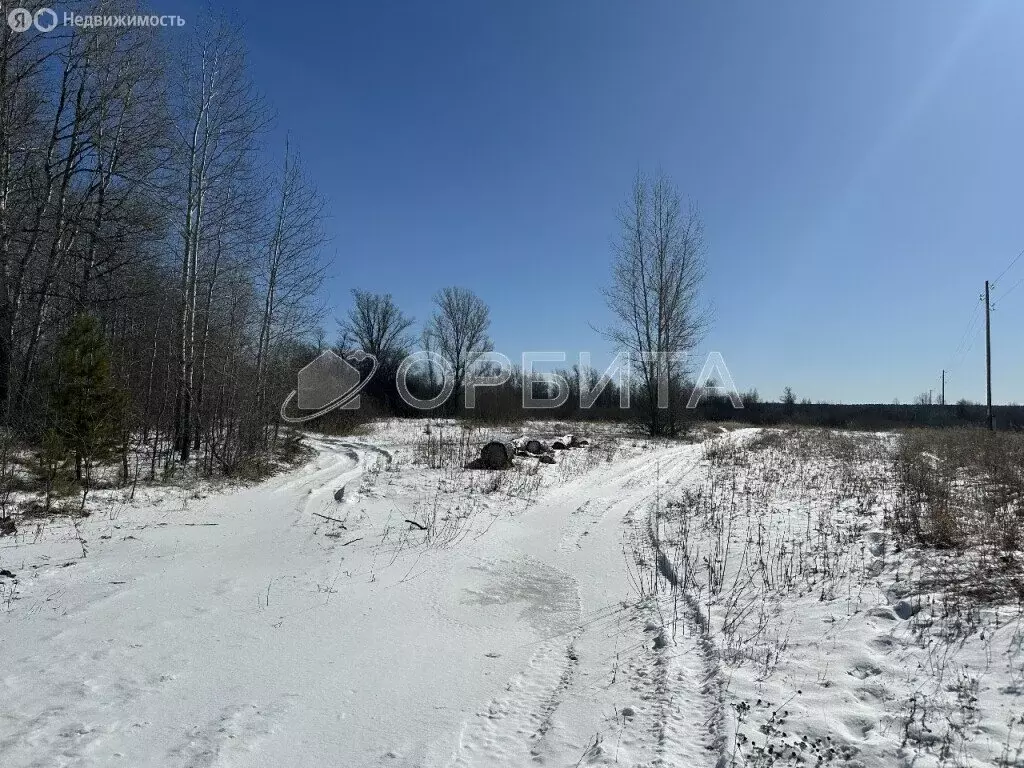 Участок в Тюменский район, село Онохино (189.56 м) - Фото 0