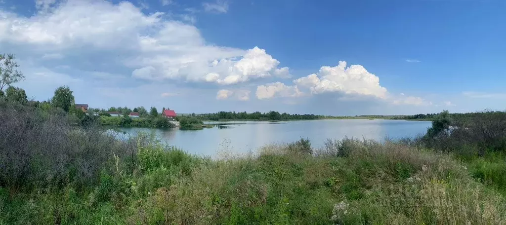 Участок в Новосибирская область, Коченевский район, Кудряши ДНП ул. ... - Фото 2