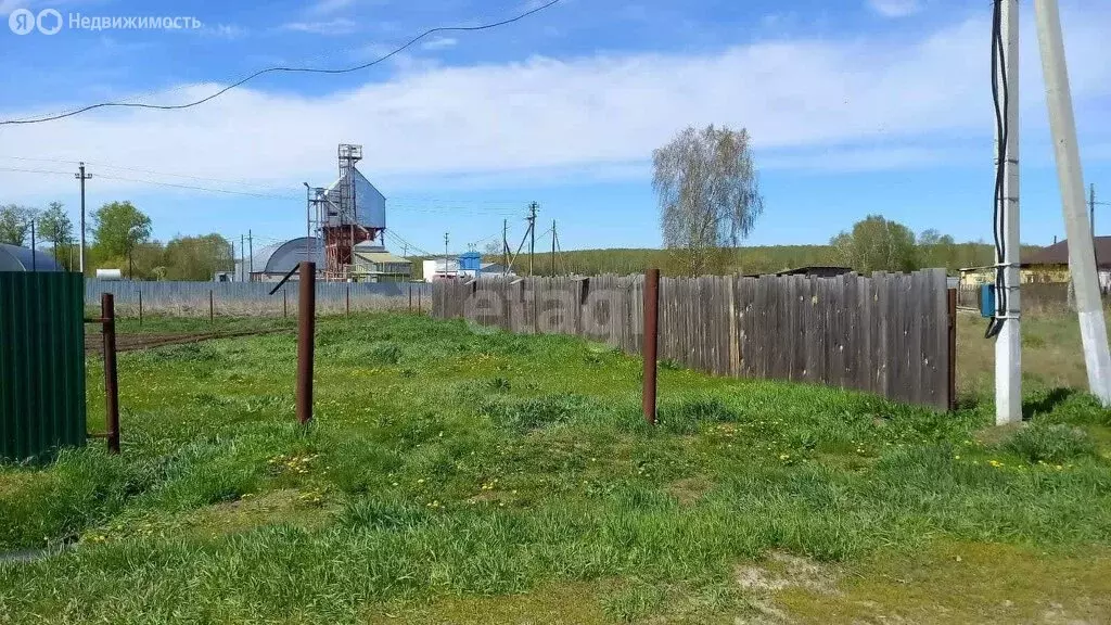 Участок в Тюменская область, Заводоуковский муниципальный округ, ... - Фото 2