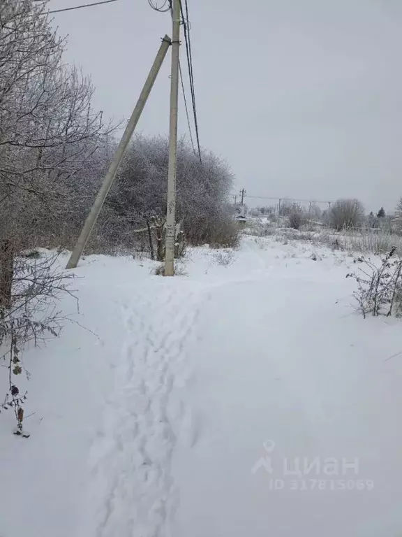 Участок в Нижегородская область, Богородский муниципальный округ, ... - Фото 1