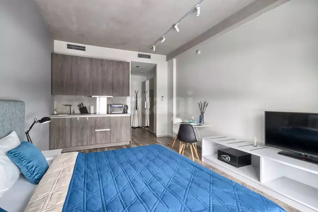 Студия Санкт-Петербург наб. Макарова, 60 (32.5 м) - Фото 1