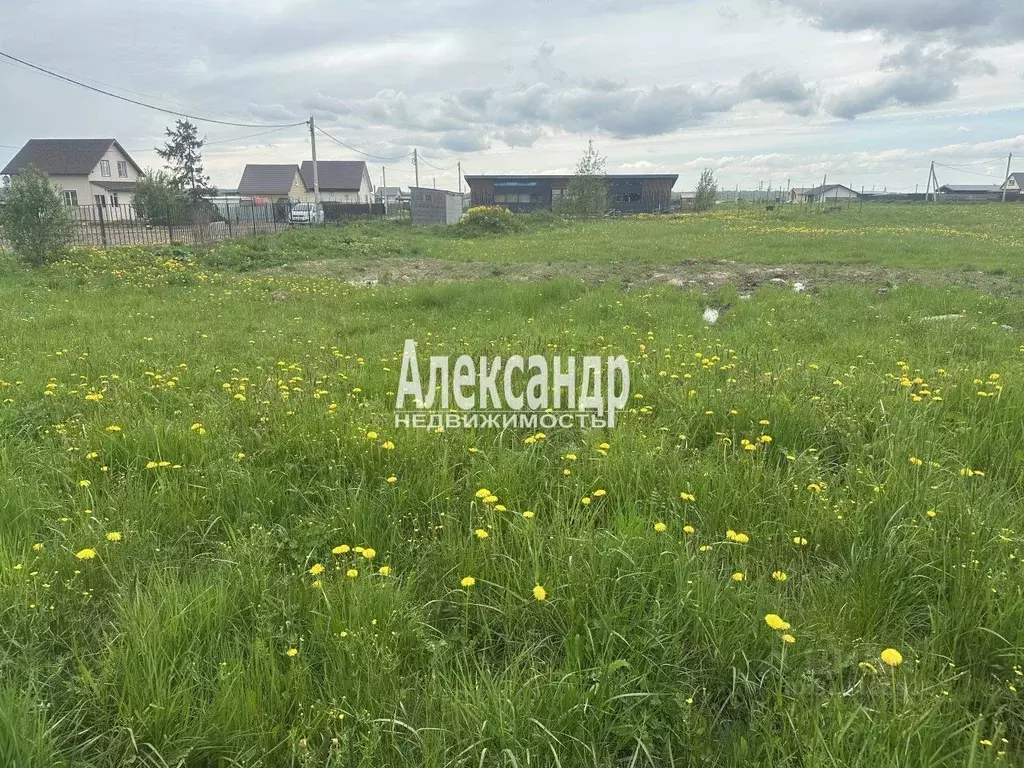 Участок в Ленинградская область, Ломоносовский район, Ропшинское ... - Фото 0
