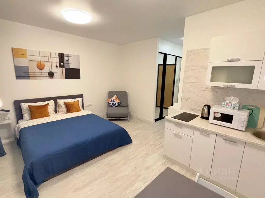 Студия Санкт-Петербург Коломяжский просп., 13к2 (27.0 м) - Фото 0